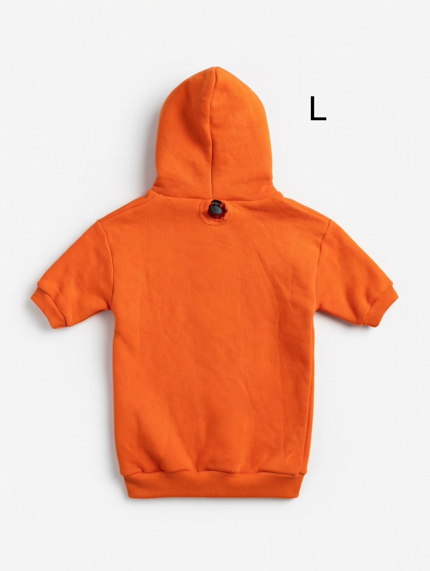 picture of Large Dog Bitcoin hoodie