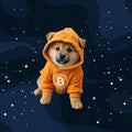 Orange Bitcoin Dog Hoodie — Dog on the Moon